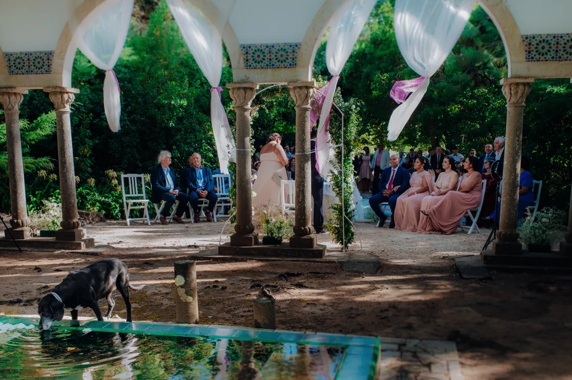 Videos e Fotos de Casamento e Elopement na Quinta da Serra no Linho, em Sintra, Lisboa